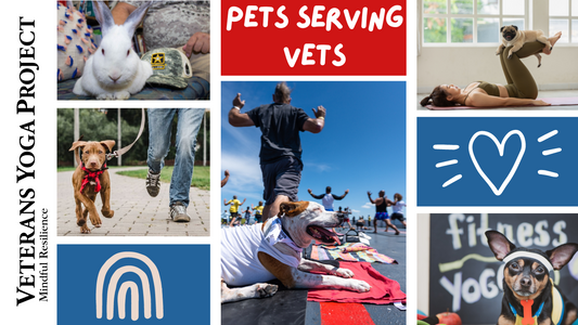 VYP Pets Serving Vets 2025 Calendar